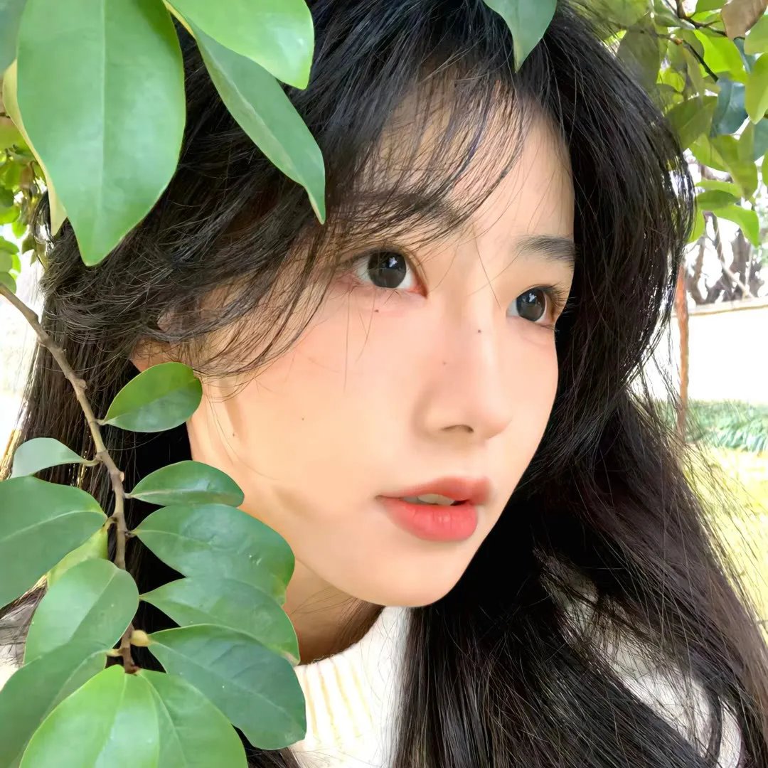 怀孕的妻子 (2019年电影)